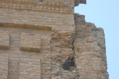 Spain, Belchite, S. Augustin Church 3, shell in wall near high altar