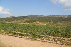 Spain, Gandesa, British battalion position during attacks on Hill 481