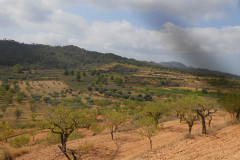 Spain, Gandesa, British position looking towards Hill 481