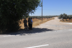 Spain, Jarama, entrance to sunken road terrain