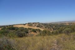 Spain, Jarama, from left conical hill, white house hill and knoll